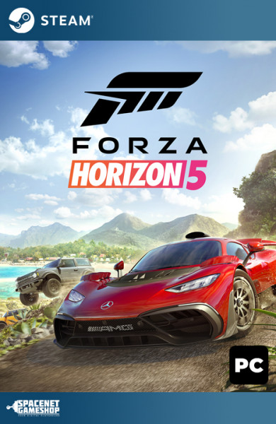 Forza Horizon 5 Steam [Account]
